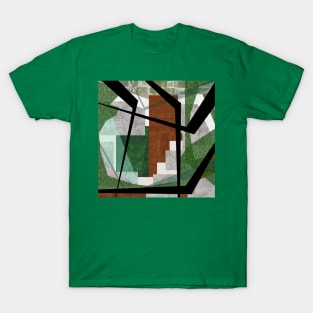 architectural wetland house T-Shirt